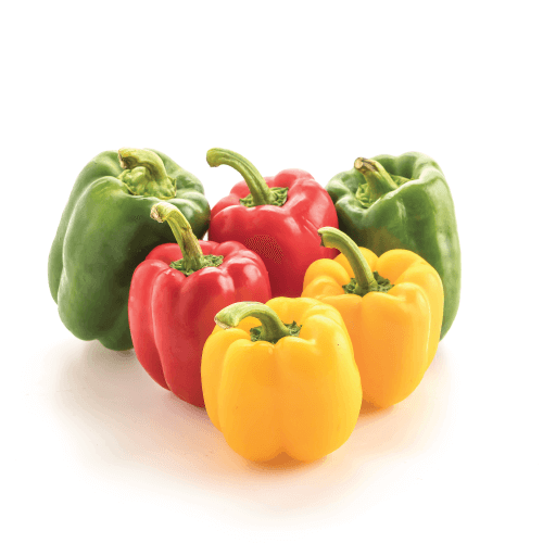 capsicum